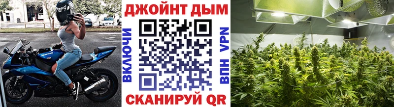 Канабис сатива  Амурск 